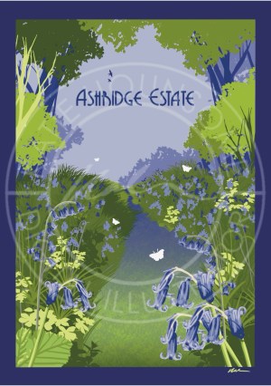 Ashridge Estate - Bluebell Wood - Travel Print Floral Design